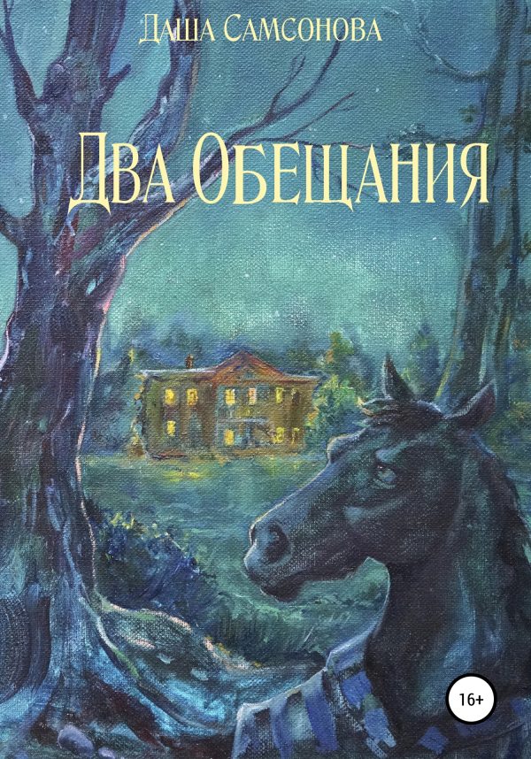 Обложка книги «Два Обещания»