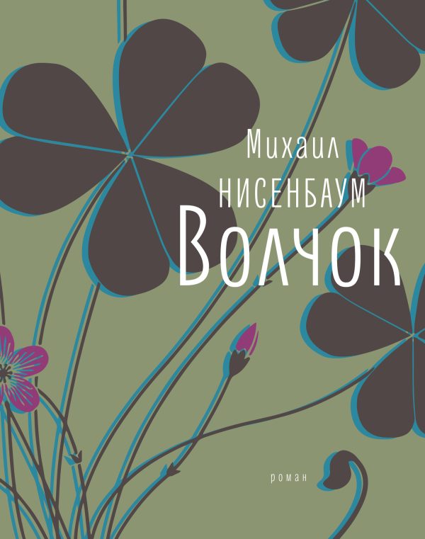 Обложка книги «Волчок»