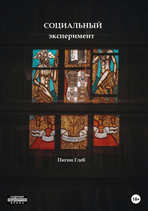 Обложка книги «Социальный эксперимент»