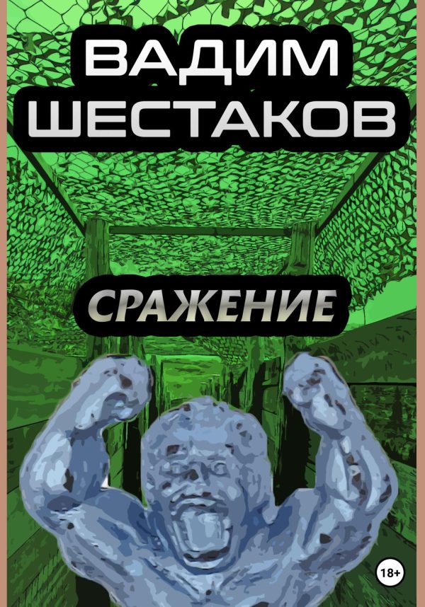 Обложка книги «Сражение»