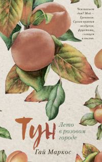 Обложка книги «Тун. Лето в розовом городе»