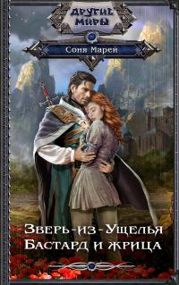 Обложка книги «Бастард и жрица»