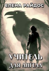 Обложка книги «Учитель для ангела»