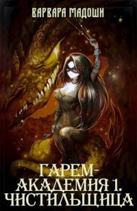 Обложка книги «Гарем-академия 1. Чистильщица»