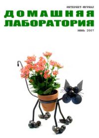 Обложка книги «Интернет-журнал "Домашняя лаборатория", 2007 №6»