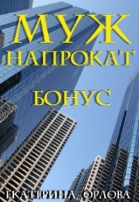 Обложка книги «Муж напрокат. Бонус»