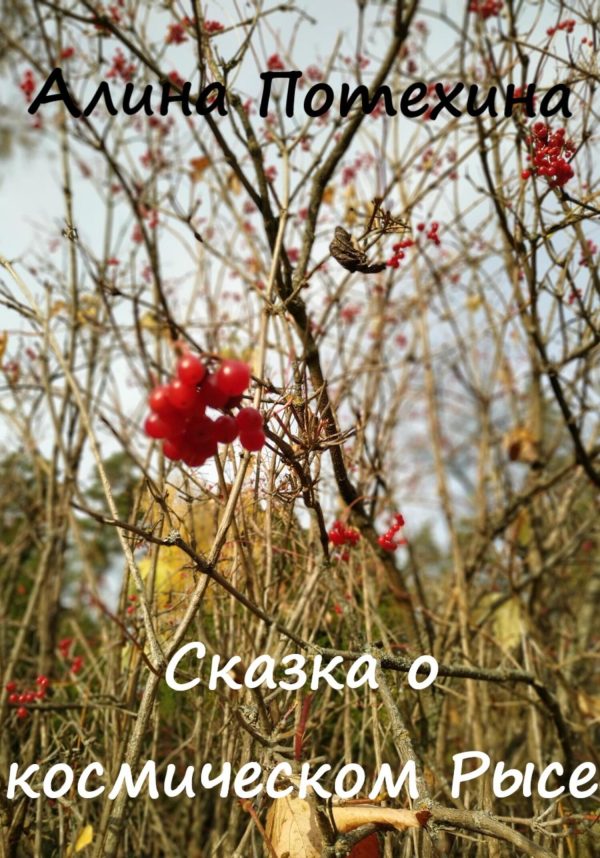 Обложка книги «Сказка о космическом Рысе»
