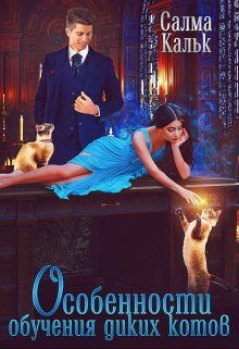 Обложка книги «Особенности обучения диких котов»