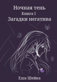 Обложка книги «Ночная тень. Книга 1. Загадки негатива»