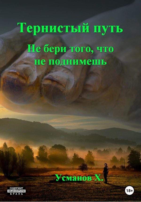 Обложка книги «Не бери того, что не поднимешь»