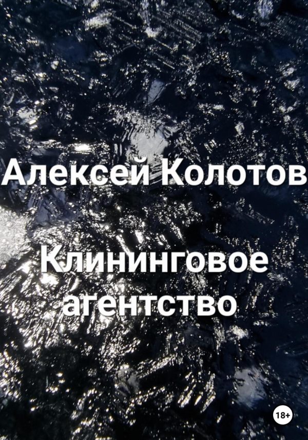 Обложка книги «Клининговое агентство»