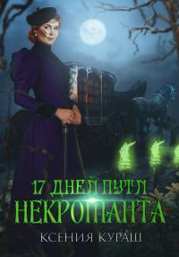 Обложка книги «17 дней пути некроманта»