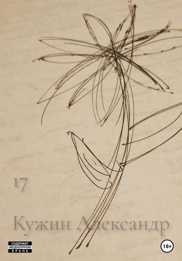 Обложка книги «17»