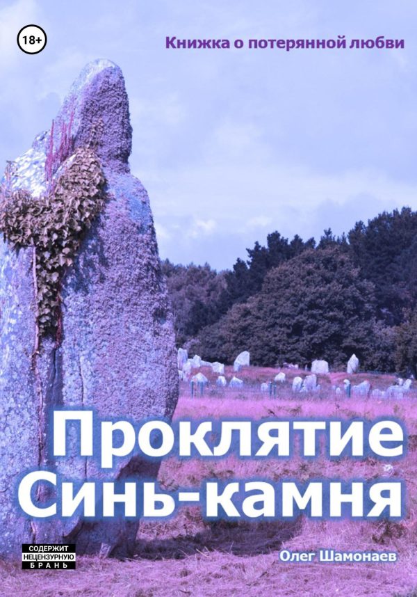 Обложка книги «Проклятие Синь-камня: книжка о потерянной любви»