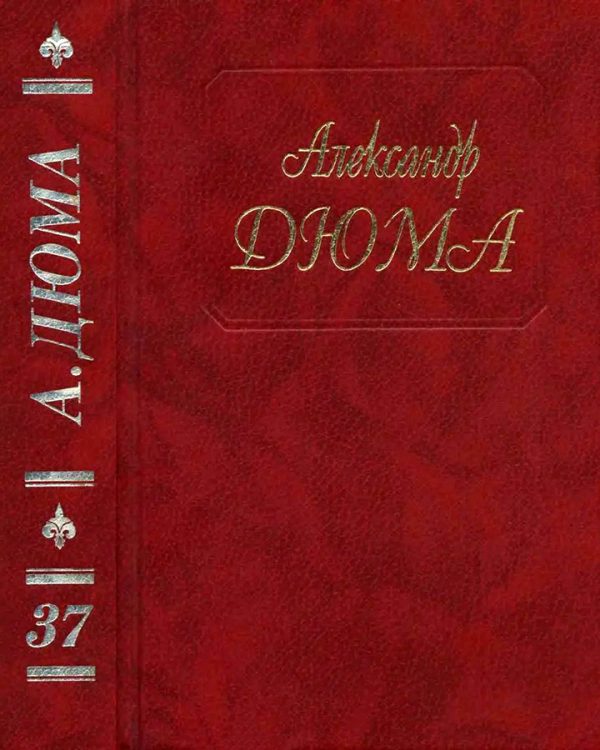Обложка книги «Сальтеадор»