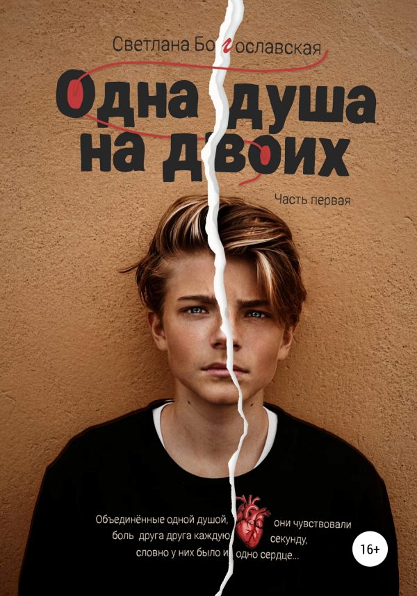 Обложка книги «Одна душа на двоих. Часть 1»
