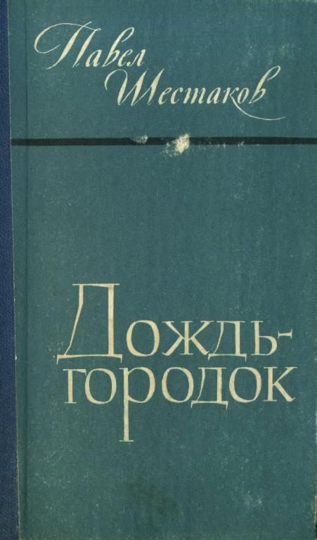 Обложка книги «Дождь-городок»