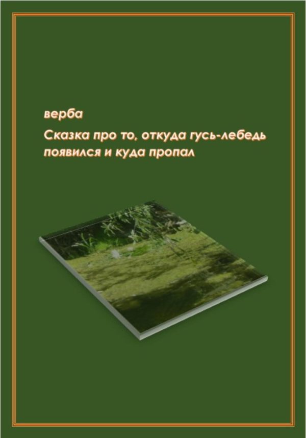 Обложка книги «Сказка про то, откуда гусь-лебедь появился и куда пропал»