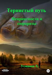 Обложка книги «Неприятности и сюрпризы»