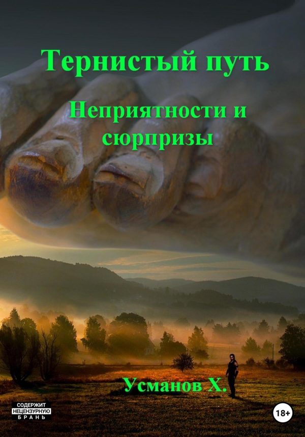 Обложка книги «Неприятности и сюрпризы»