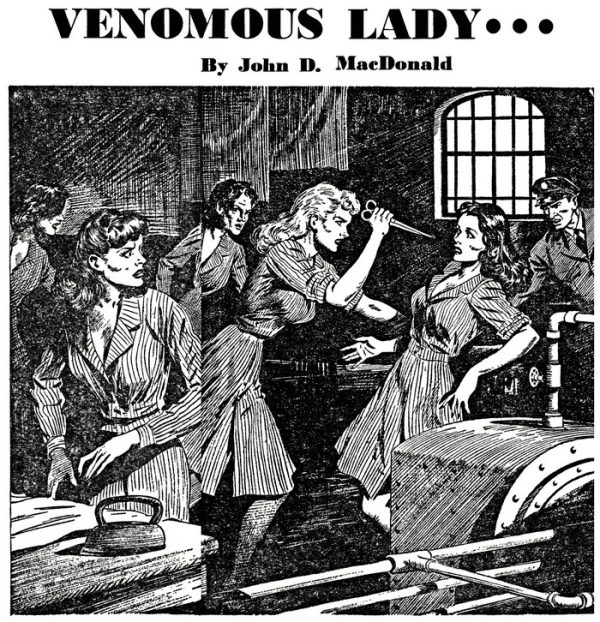 Обложка книги «Venomous Lady...»