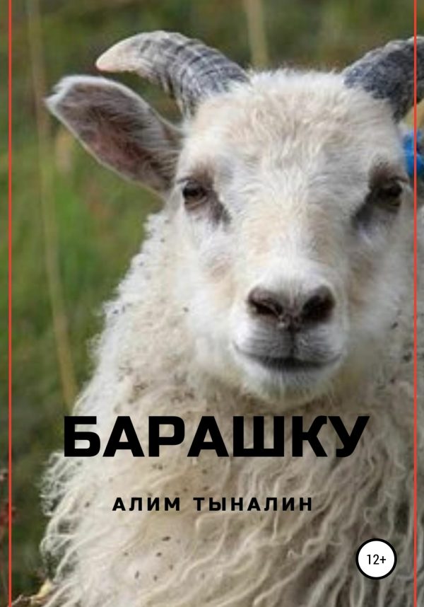 Обложка книги «Барашку»