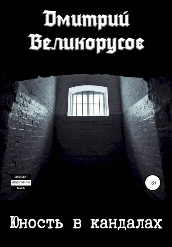 Обложка книги «Юность в кандалах»