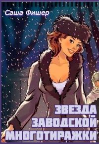 Обложка книги «Звезда заводской многотиражки»