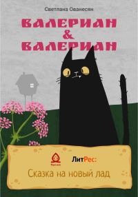 Обложка книги «Валериан & Валериан»