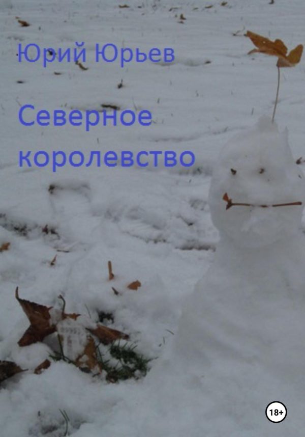 Обложка книги «Северное королевство»