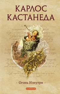 Обложка книги «Огонь Изнутри»