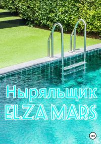 Обложка книги «Ныряльщик»