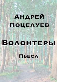 Обложка книги «Волонтеры»