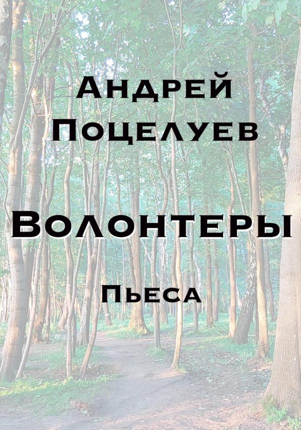 Обложка книги «Волонтеры»