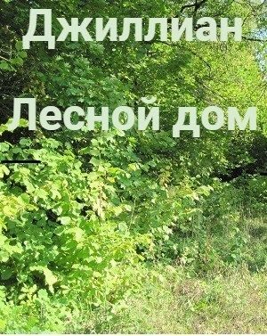 Обложка книги «Лесной дом (СИ)»