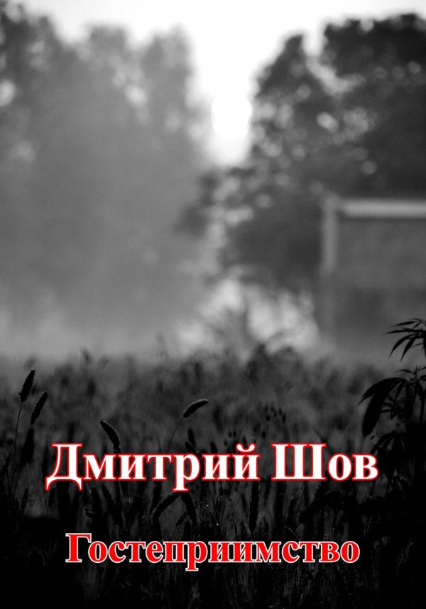 Обложка книги «Гостеприимство»