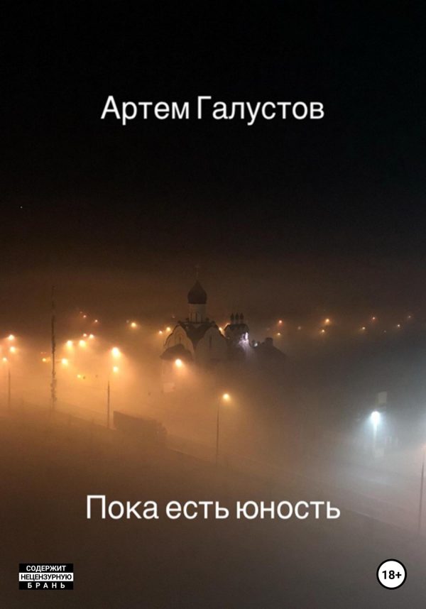 Обложка книги «Пока есть юность»