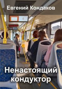 Обложка книги «Ненастоящий кондуктор в маршрутке»