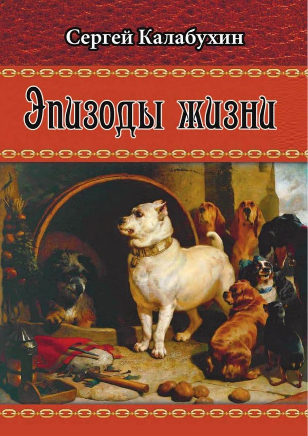 Обложка книги «Эпизоды жизни»