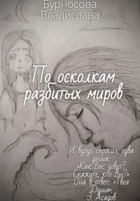 Обложка книги «По осколкам разбитых миров»