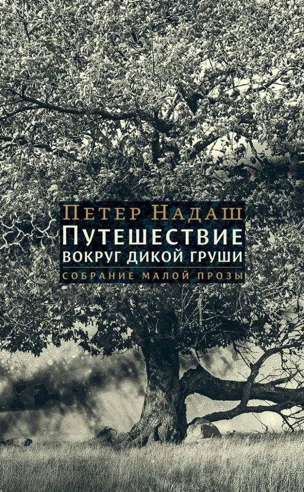 Обложка книги «Путешествие вокруг дикой груши»