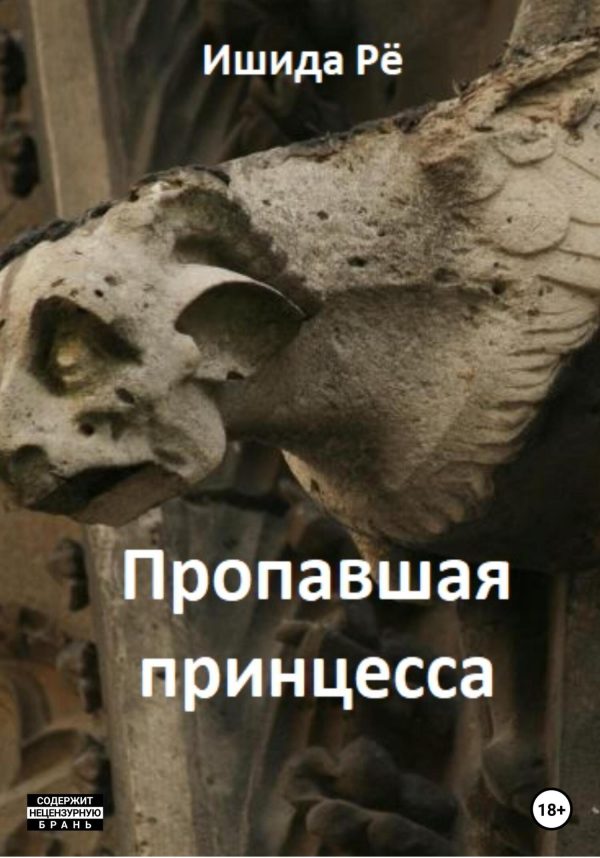 Обложка книги «Пропавшая принцесса»