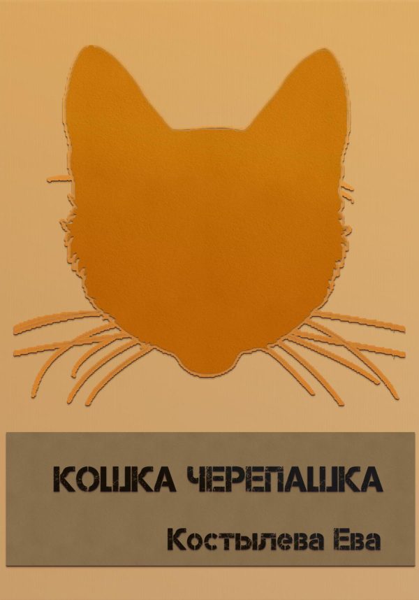 Обложка книги «Кошка черепашка»