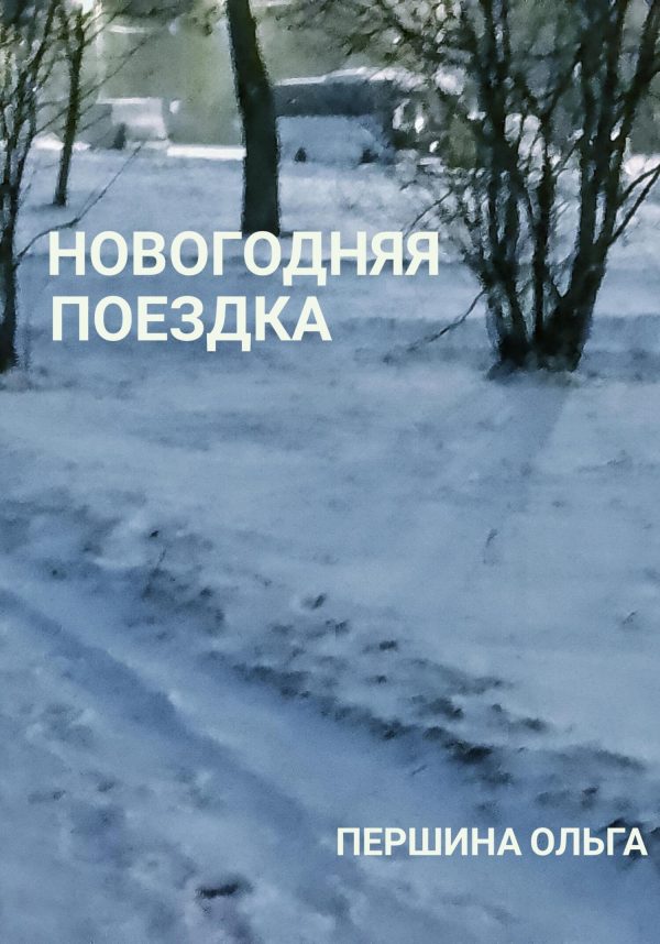 Обложка книги «Новогодняя поездка»