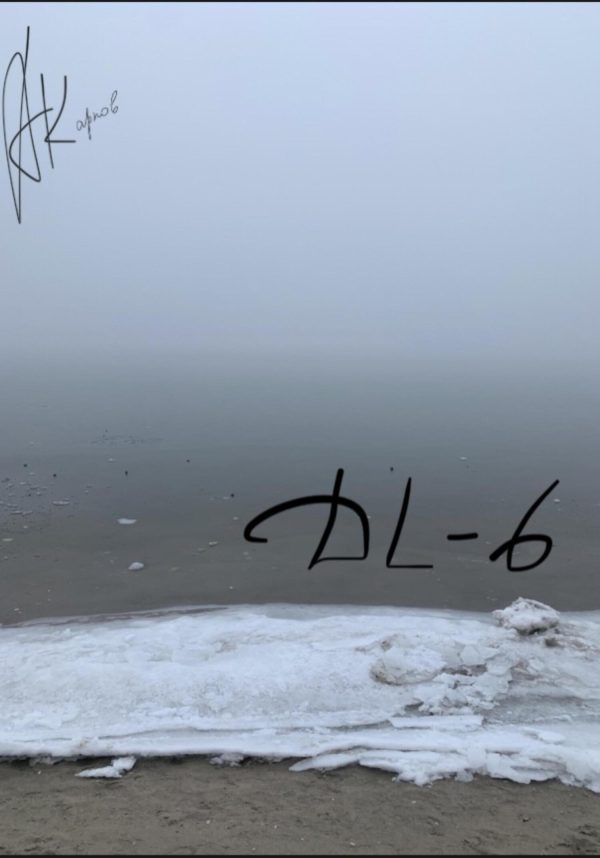 Обложка книги «DL-6»