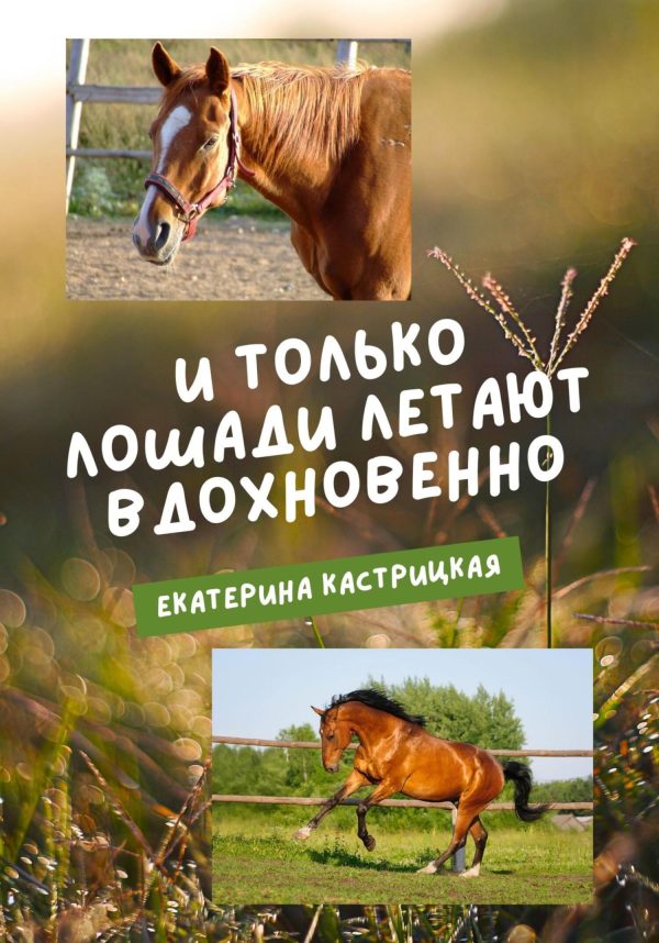 Обложка книги «И только лошади летают вдохновенно»