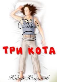 Обложка книги «Три кота»