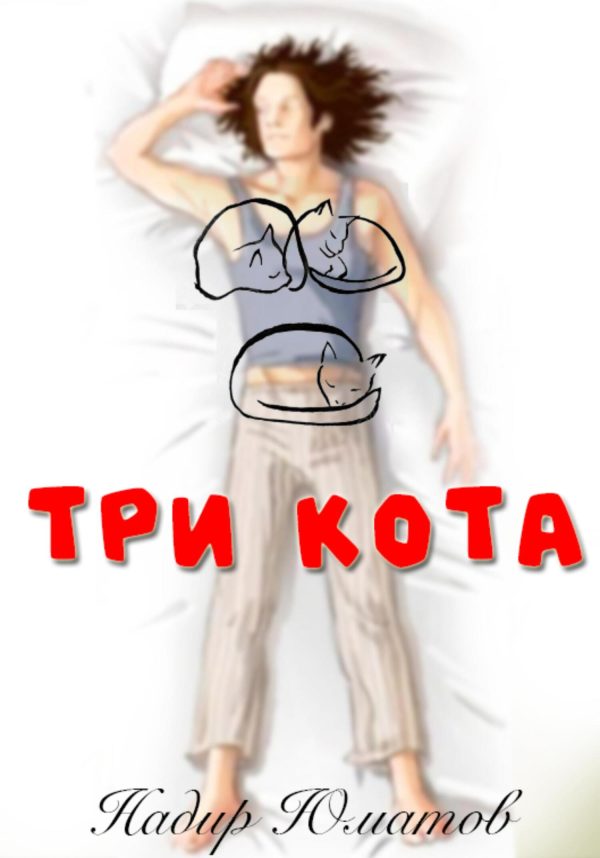 Обложка книги «Три кота»