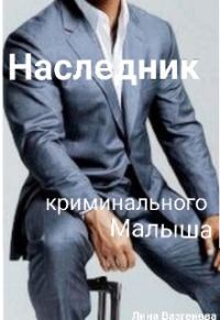 Обложка книги «Наследник криминального Малыша (СИ)»