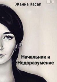 Обложка книги «Начальник и Недоразумение»